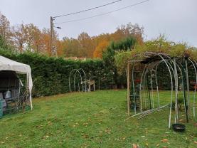 Service : taille de haies Service : taille de haies